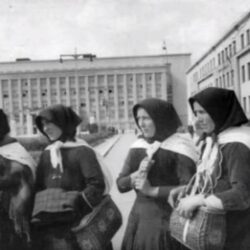 Чужина