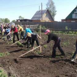 Прекрасная и трудолюбивая Русинская поэтесса Аня Цiрик, о начале весенних работ в Закарпатье:                                Скоро, скоро. Дуже скоро,                 начнеся така пора — що садити на городі,                            з родньов ріпу буду я.                   Русинское национальное достояние!