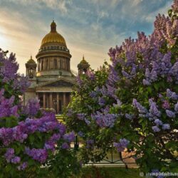 Лауреат Международной «Русской премии – 2022» Генерал Э. Артюхов «Весна пришла, тепло неся, однако, нужно подождать. Зима ушла, но март еще…»