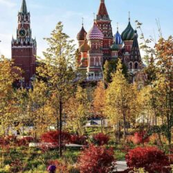 Дипломант Русской премии-2024 Ирина Мирзоева «Мы вползаем в осень незаметно, Яблочный вдыхая светлый Спас,и в закаты шепчем безответно…»