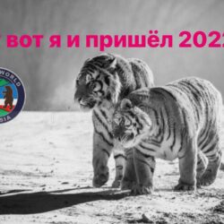 Новогодние пожелания всем людям нашей необъятной планеты, от Закарпатской поэтессы Ані Цірик. «Най 22-гый буде щедрый, щастя всім вам принесе…»