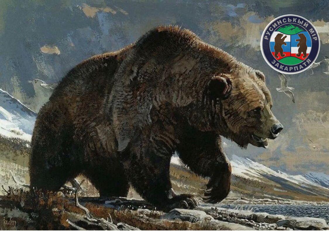 Ежегодно 13 декабря отмечается всемирный День медведя. Поэт Эдуард Артюхов написал стихотворение «Хозяин русского леса»