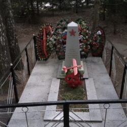 Генерал Э. Артюхов – Неизвестным Солдатам «Из братской могилы у Зеленограда, прах Неизвестного Солдата…»