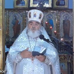 Там где явлены свои православные, канонические святые, там и есть живая Церковь Христова…