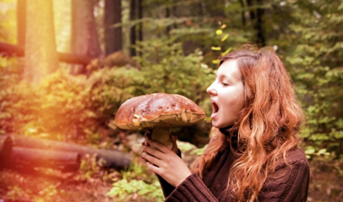 Номинант на «Русскую премию» Генерал Э. Артюхов «Люблю я кушать грибы, особенно грибы белые. Очень они вкусны…»