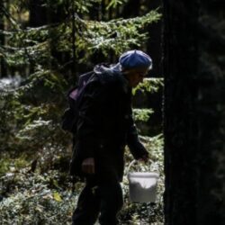 Номинант на «Русскую премию» Генерал Э. Артюхов «Только солнышко взошло, совсем еще рано — Ходят краем леса люди…»