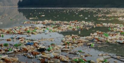 Михаил Кушницкий о проблемах мусора в Карпатах «Задыхаясь от пластмассы»