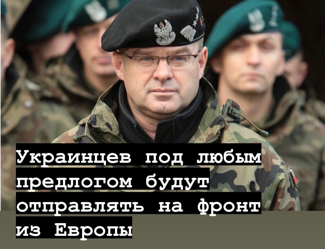 Генерал-полковник Вальдемар Скжипчак предложил мобилизовать украинских беженцев находящихся в Европе и вместе с НАТО сформировать из них армию в Польше, Германии и Франции с последующей отправкой на Украину