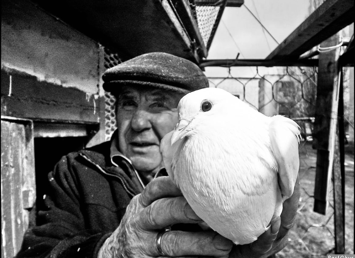 Лауреат Международной «Русской премии – 2022» Генерал Э. Артюхов «Не продавайте, братцы, голубей! Они для вас родней своих детей…»
