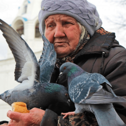 Пётр Григорьевич Сафонов “Сегодня встретил возле сквера, где голубей кормлю с утра, Старушку, имя её Вера, мне поклонясь, домой брела…”
