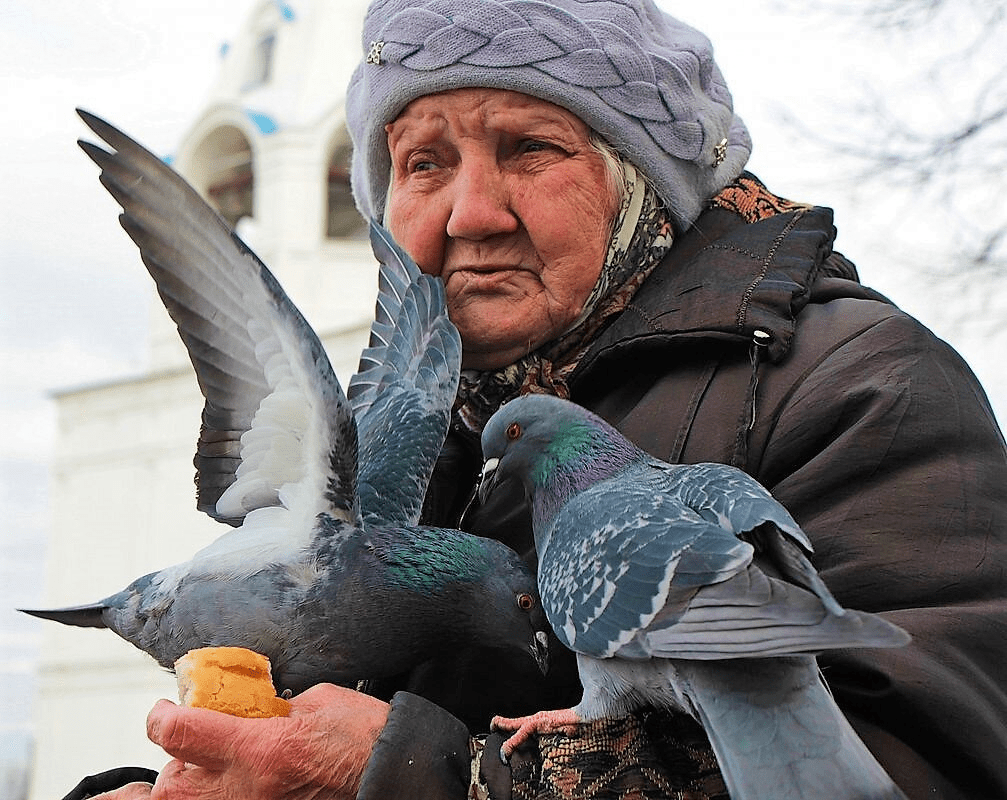 Пётр Григорьевич Сафонов “Сегодня встретил возле сквера, где голубей кормлю с утра, Старушку, имя её Вера, мне поклонясь, домой брела…”